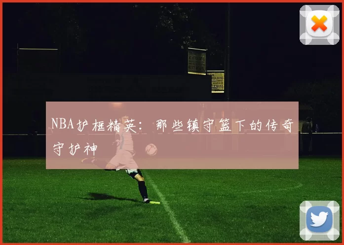 NBA护框精英：那些镇守篮下的传奇守护神