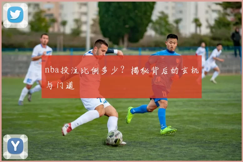 nba投注比例多少？揭秘背后的玄机与门道