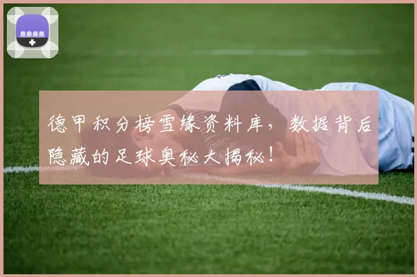 德甲积分榜雪缘资料库，数据背后隐藏的足球奥秘大揭秘！
