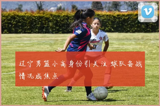 辽宁男篮小高身份引关注 球队备战情况成焦点