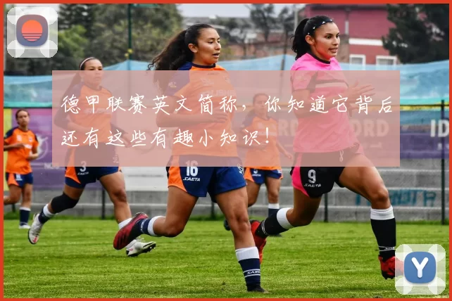 德甲联赛英文简称，你知道它背后还有这些有趣小知识！