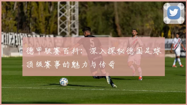德甲联赛百科：深入探秘德国足球顶级赛事的魅力与传奇