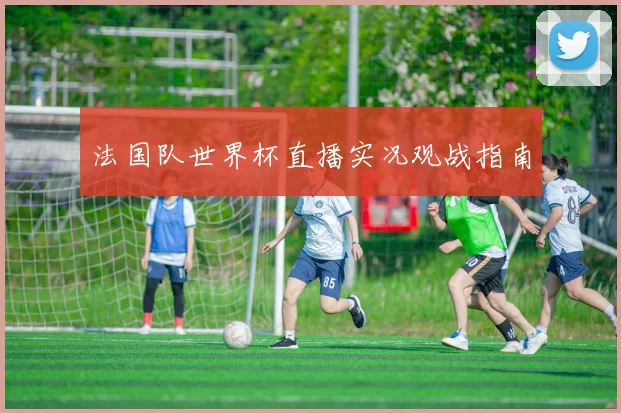 法国队世界杯直播实况观战指南